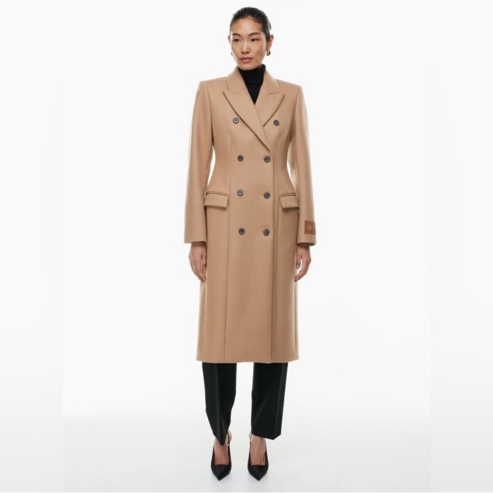 Aritzia Babaton Winter Coat